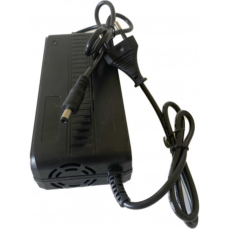 Incarcator 73V 2A vehicule electrice